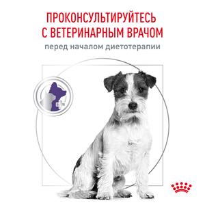Корм для собак мелких пород, Royal Canin Neutered Adult Small Dog, для кастрированных/стерилизованных собак весом до 10 кг после операции