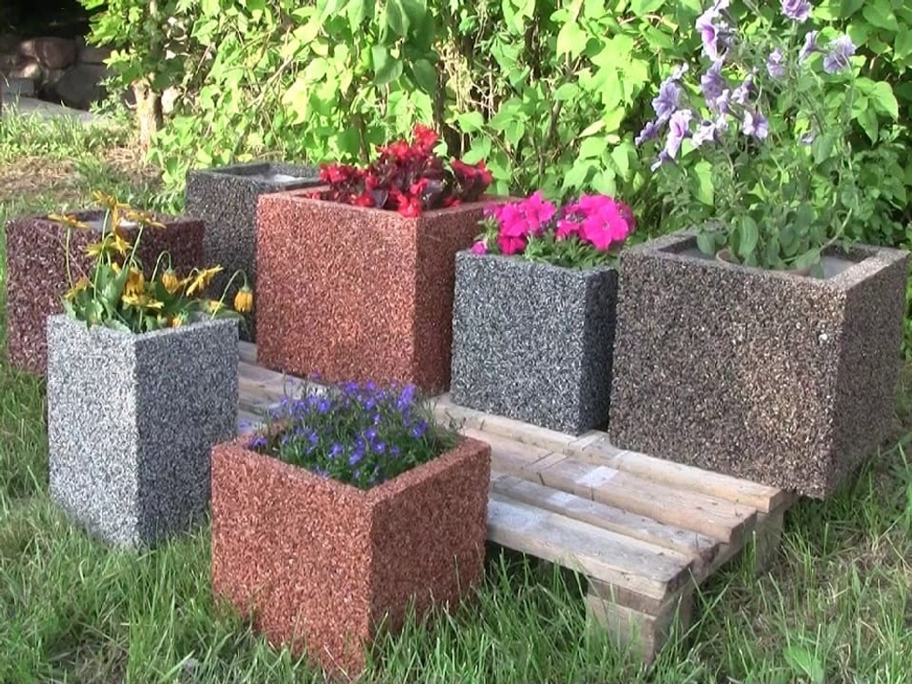 Цветочница Визалия