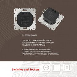 Диммер без рамки Arte Milano 206 206.48-1.silver