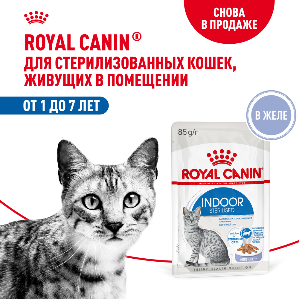 Royal Canin Indoor Sterilized Индор стерилайзд Корм влажный для стерилизованных кошек живущих в помещении желе 85г