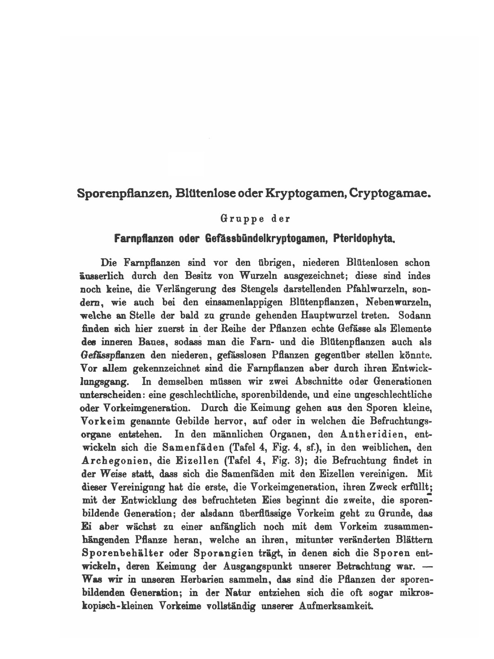 Flora von Deutschland, Österreich und der Schweiz. Erster Band | O.W. Thomé