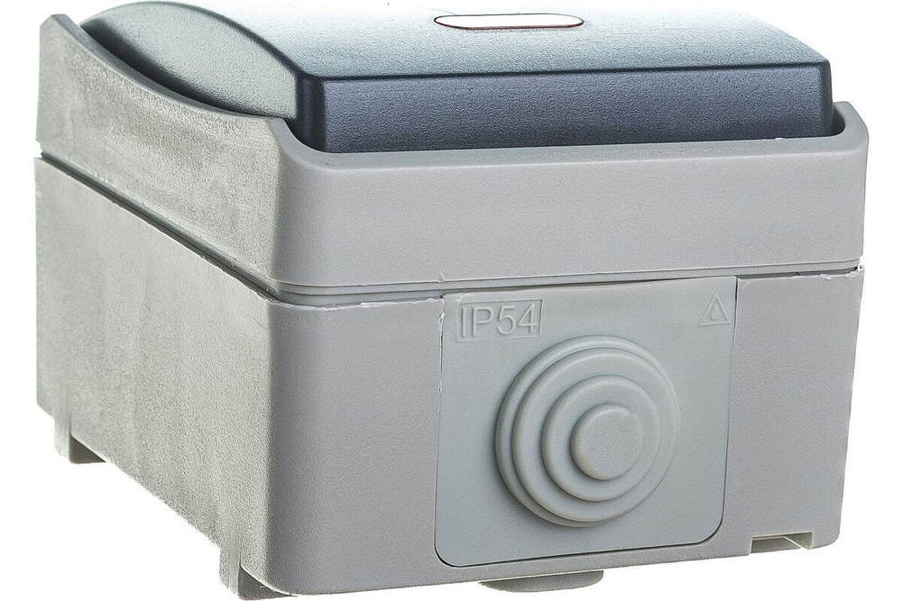 Выключатель 1-клавишный для открытой установки с индикацией ВС20-1-1-ФСр ФОРС IP54 IEK