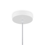 Подвесной светильник Freya Cottage FR5405PL-01W2