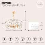 Подвесная люстра Maytoni PUNTES MOD043PL-06G