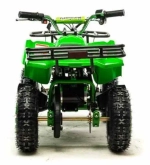 Электроквадроцикл Motoland ATV E009 1000W