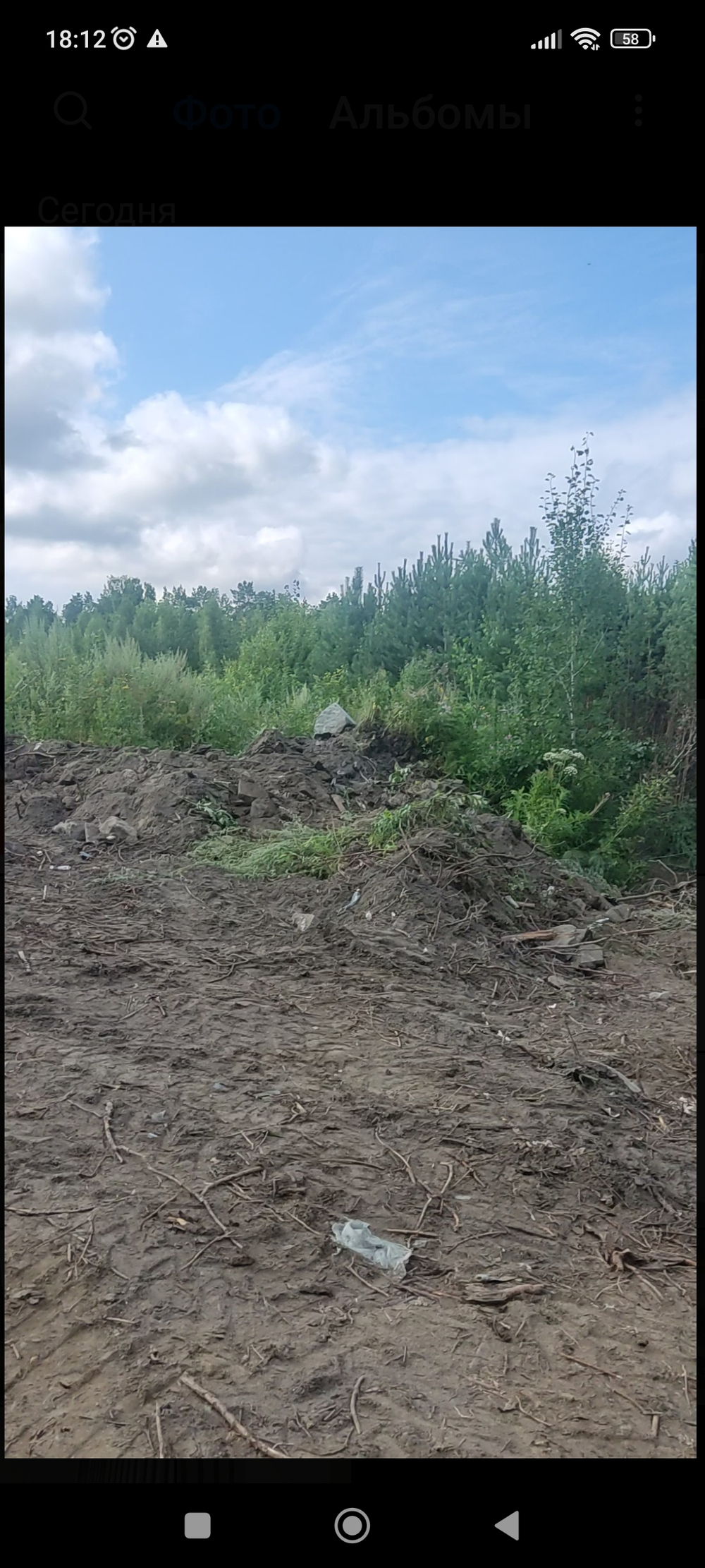 Расчистка участка в Екатеринбурге