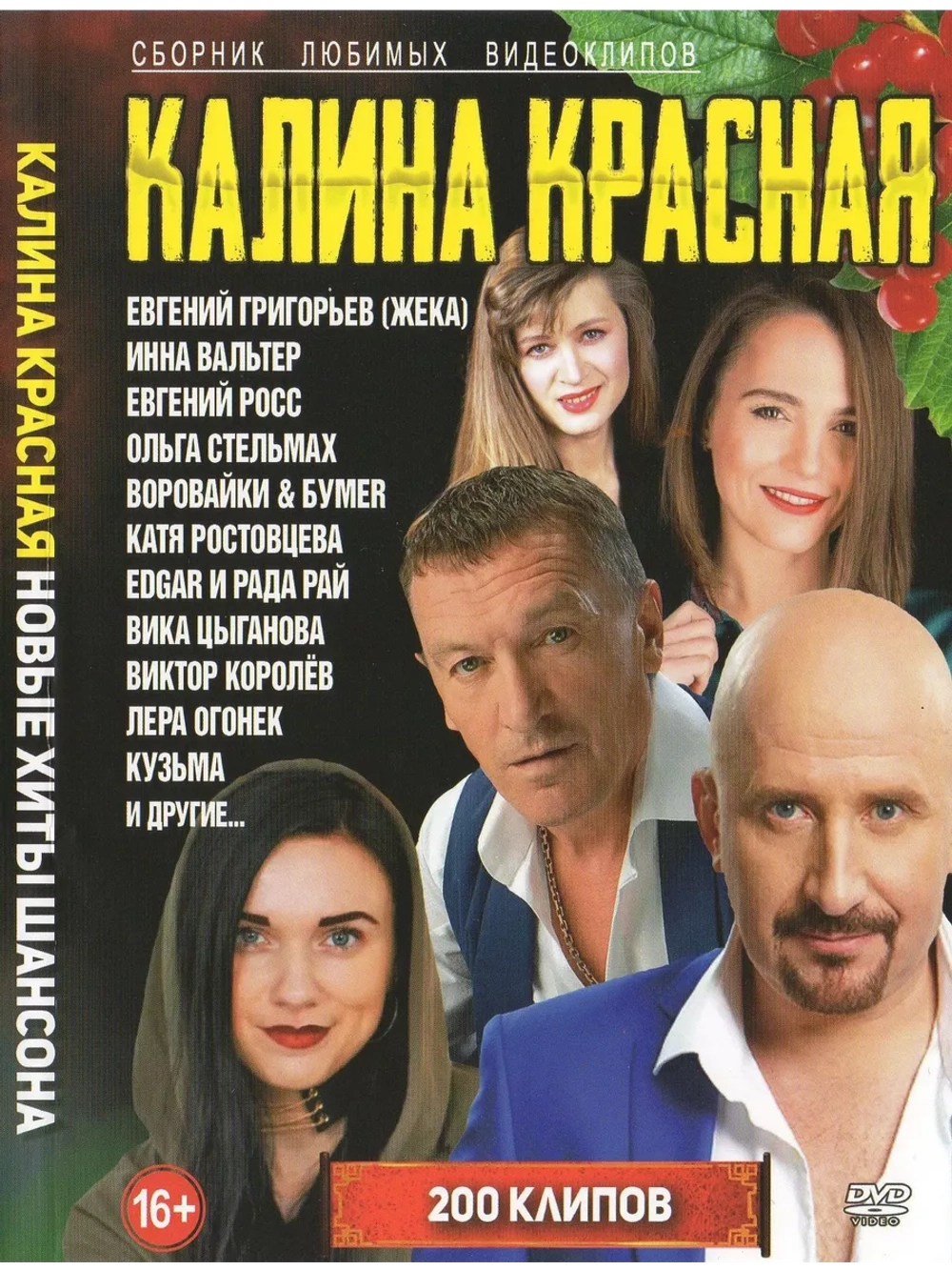 Калина Красная, новые хиты шансона 200 клипов