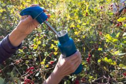 Бутылка Klean Kanteen Classic Flip Sport 27oz (800 мл) Corsair