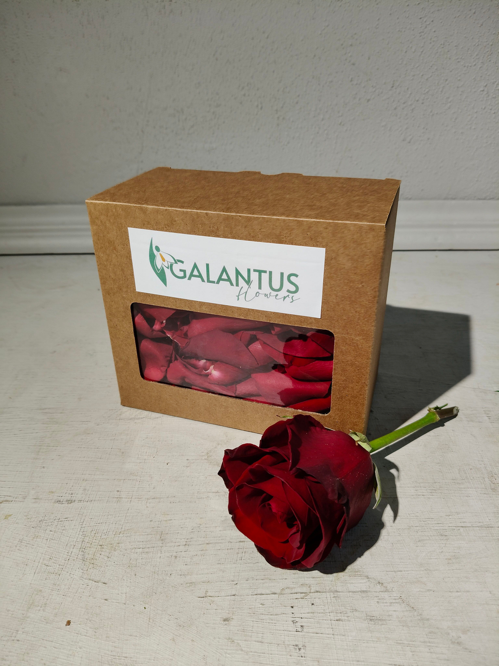 Лепестки живых роз