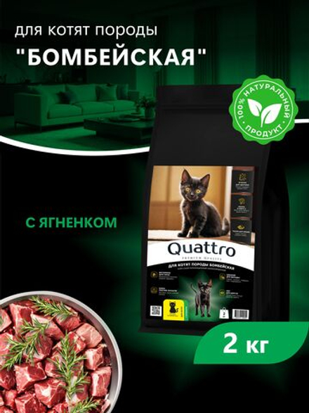 Корм сухой для котят породы Бомбейская, с ягненком, 2 кг, QUATTRO