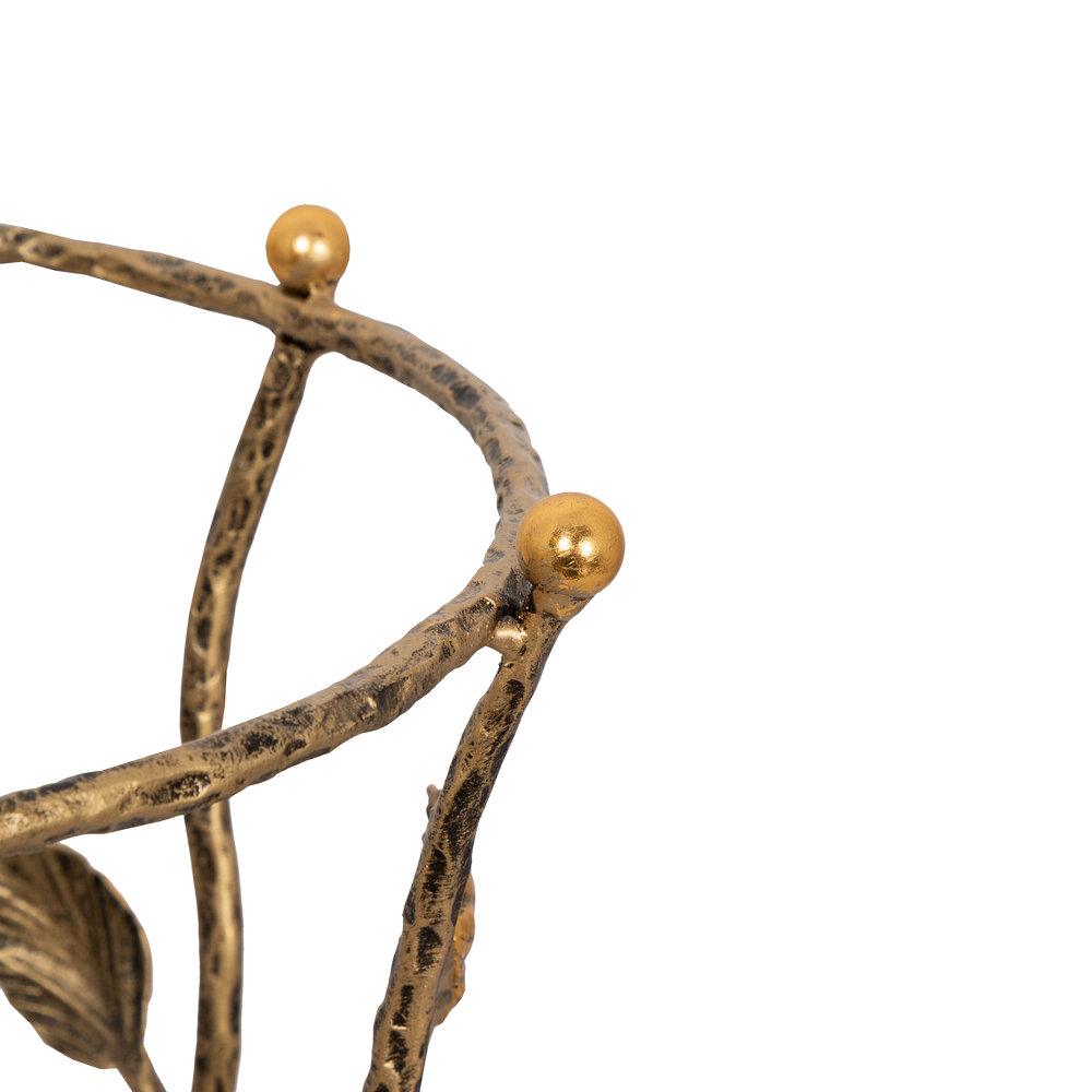 Зонтница Терра Амбер