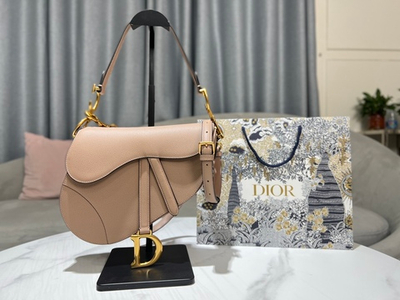 Christian Dior Saddle 25 cm