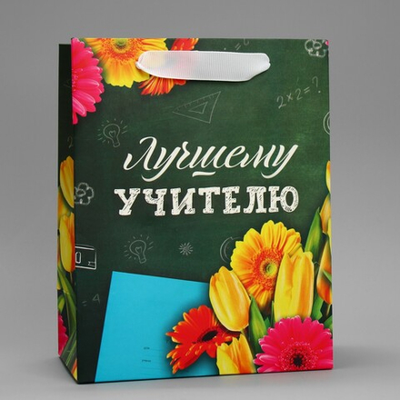 Пакет подарочный ламинированный вертикальный, упаковка, «Лучшему Учителю», MS 18 х 23 х 10 см