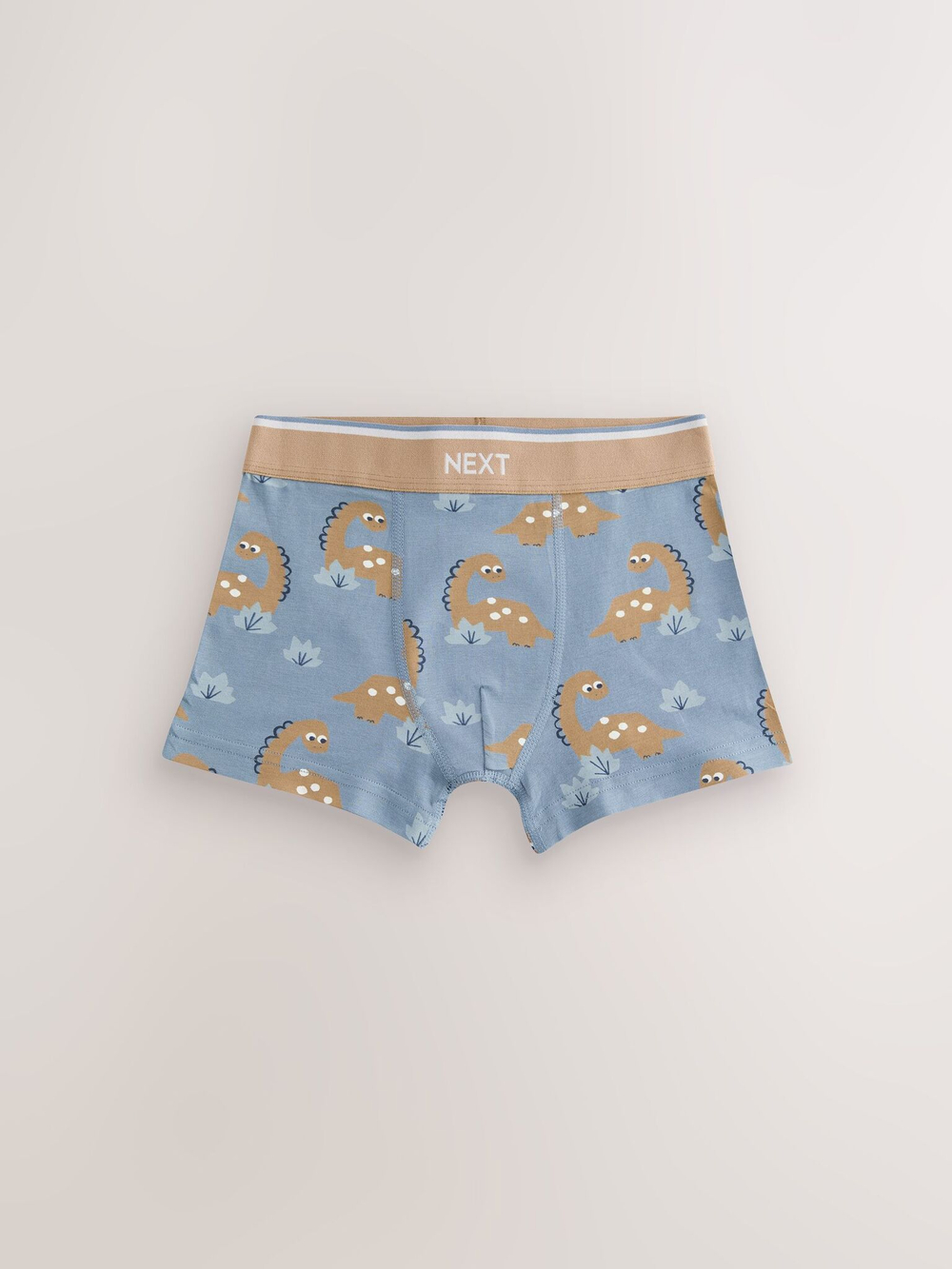 Трусы для мальчика Next E98-868, 5 шт., Голубой, Белый