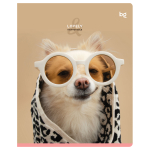 Тетрадь 48л., А5, линия BG "Lovely", микро sandy-touch лак