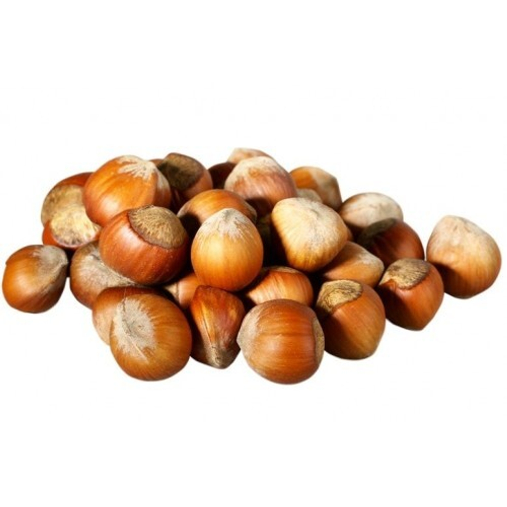 Фундук неочищенный