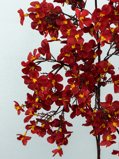 Ветка цветущая яблоня бордовая