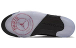 Кроссовки Jordan Air Jordan 5 "Psg" 75