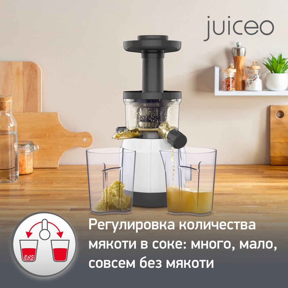 Шнековая соковыжималка Moulinex Juiceo ZU150110