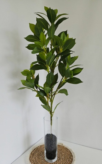 Дерево фикус / Арт 3063