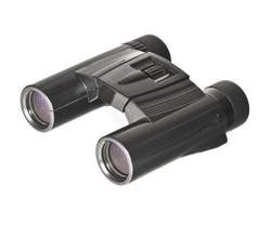 Бинокль KENKO Ultra View 10x25 DH Black - фото 1