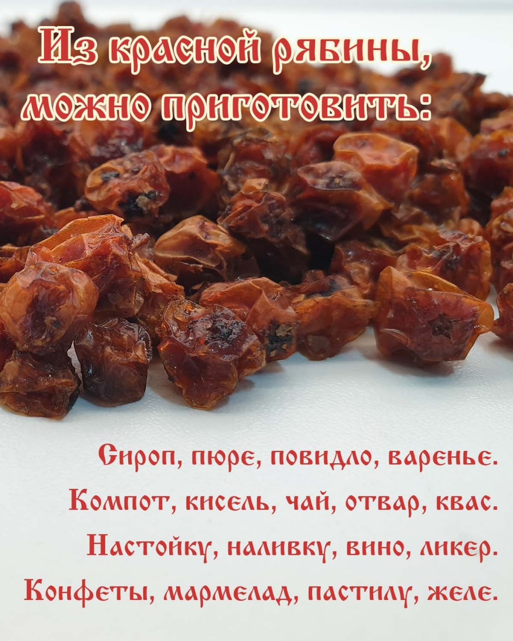 Рябина Алтайская "Зимняя"