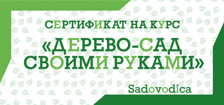 Курс “Дерево-сад своими руками”