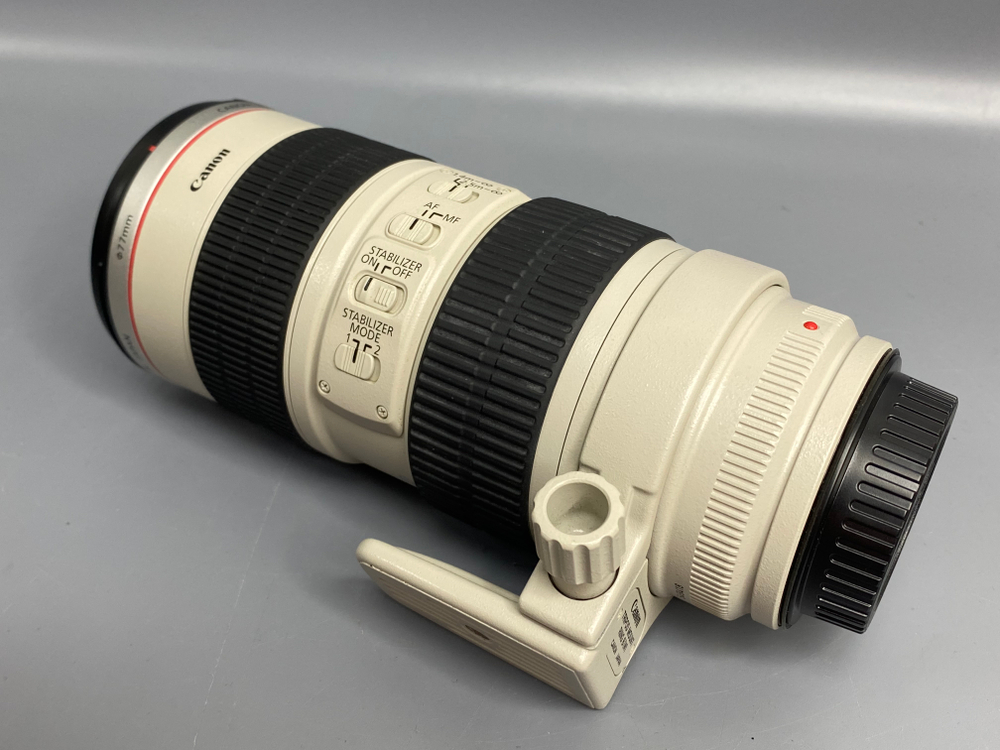 Canon EF 70-200mm f/2.8L USM