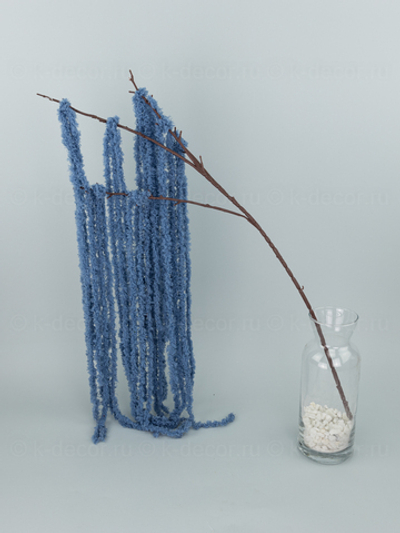 Водоросль ампельная на ветке