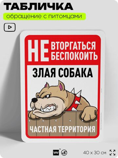 Табличка "Не вторгаться, не беспокоить, собака кусается" на дверь и забор, для двора, дома, подъезда, 40х30 см, Silver Plane x Айдентика Технолоджи
