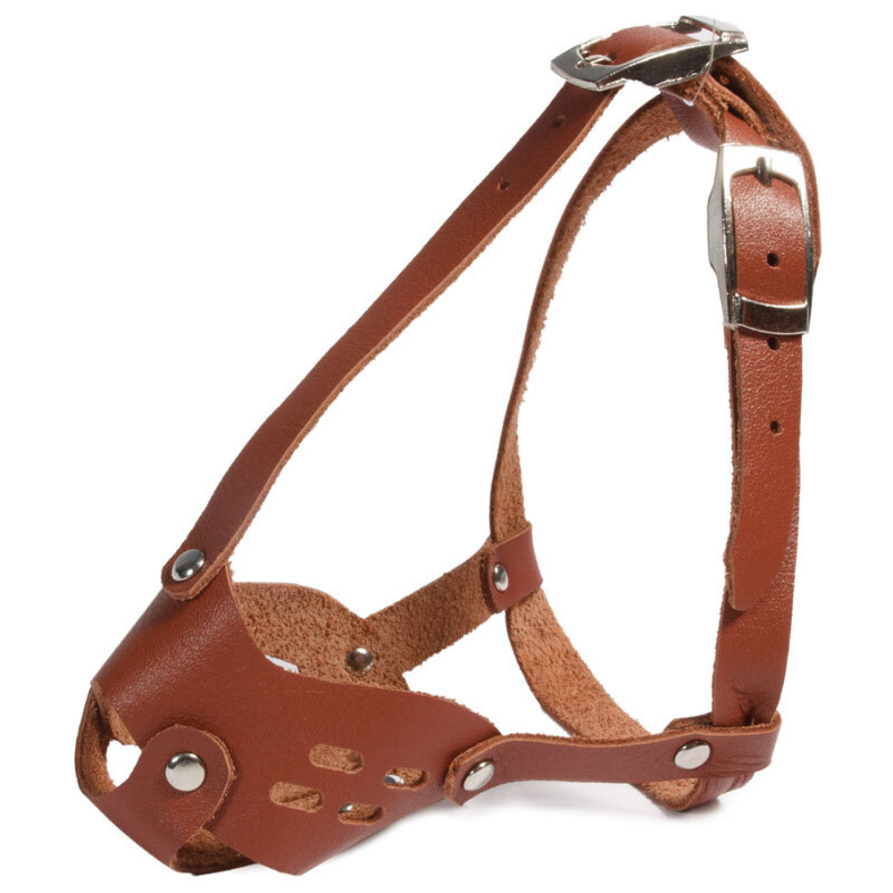 Намордник кожаный "Той-терьер", 2,5 кг, 140*120*100мм, Gamma