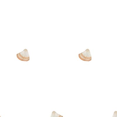 морские ракушки на белом фоне нарисованные акварелью