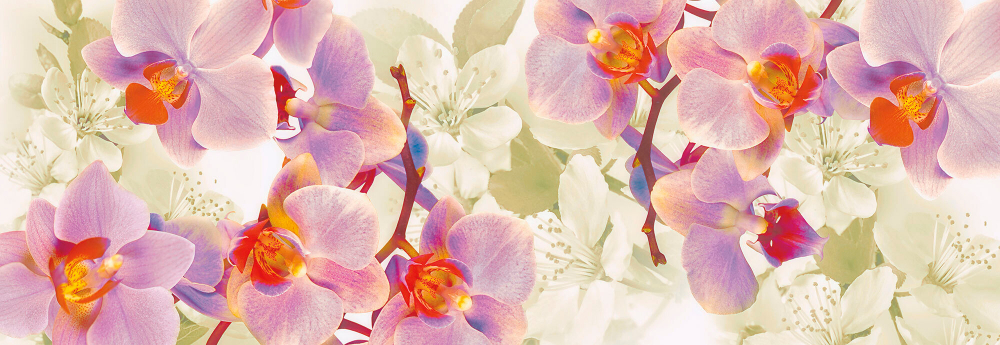 Коллекция Цветы