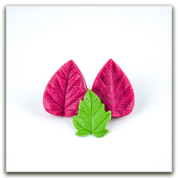 Листья пузыреплодника калинолистного большие