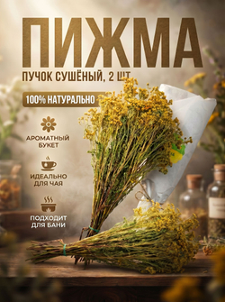 Мята длиннолистная пучок, 2 шт.