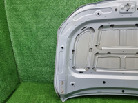 Капот Geely Tugella (2019-2024)