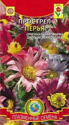 Ппострел