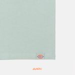  Футболка мужская Dickies Outdoor артикул:DK0A4Z8PK361 - купить в магазине Дайс
