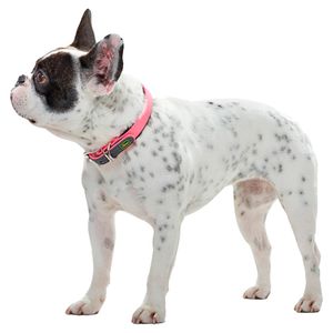 Ошейник для собак Hunter Convenience Comfort 55 (42-50 см)/2,5 см биотановый с мягкой горловиной розовый неон