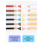 Карандаши цветные 12цв. Гамма Хобби. Портрет