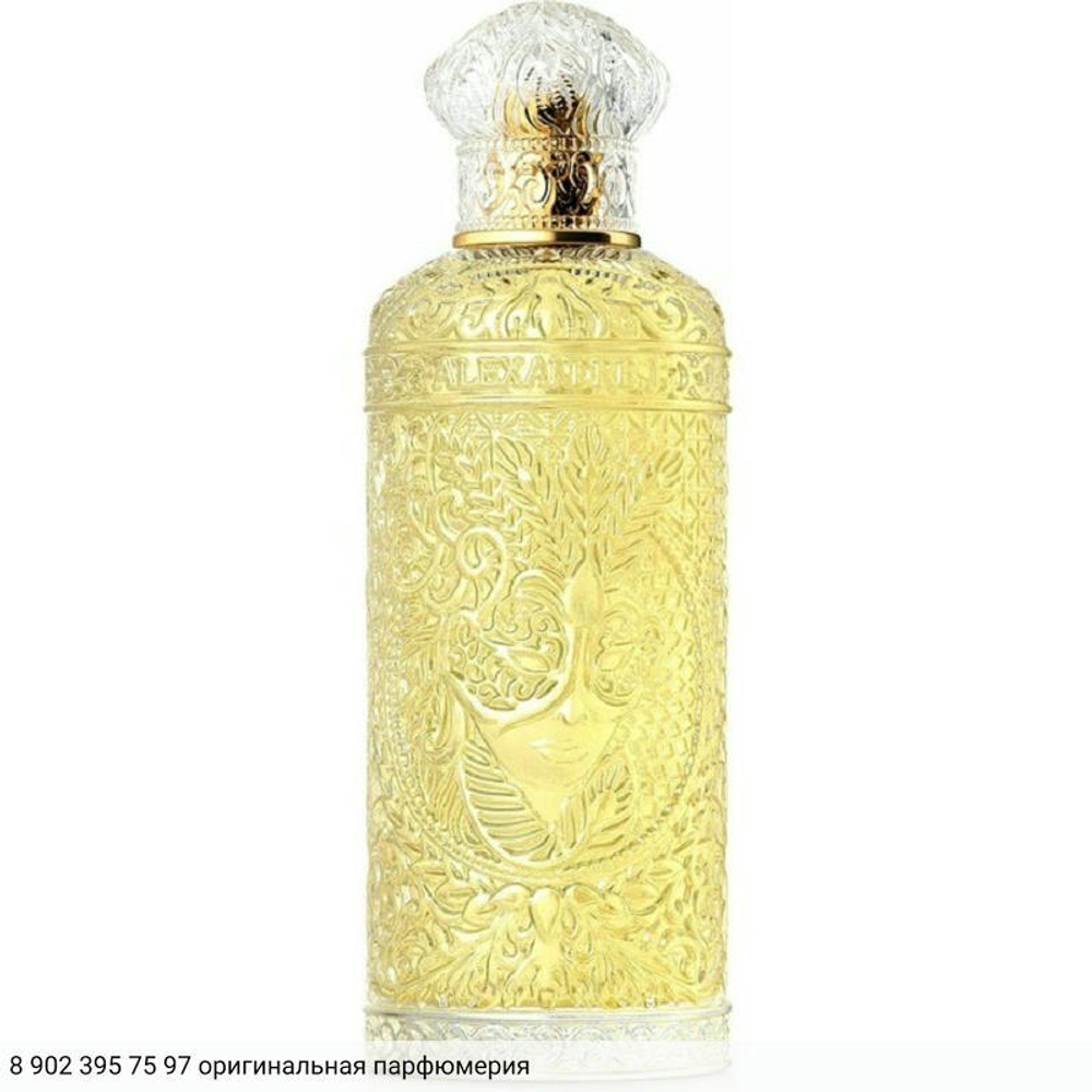 Oriental Enigma