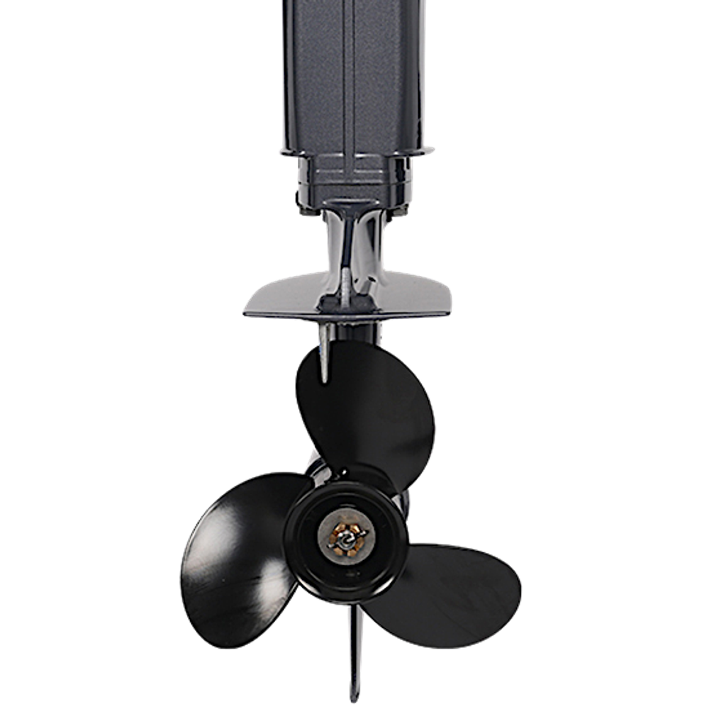 Лодочный мотор ALLFA CG T9.9(20)MAX BWS