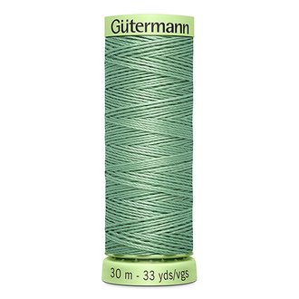 Нить Top Stitch 30/30 м для декоративной отстрочки, Gutermann, 913 бледный папоротник