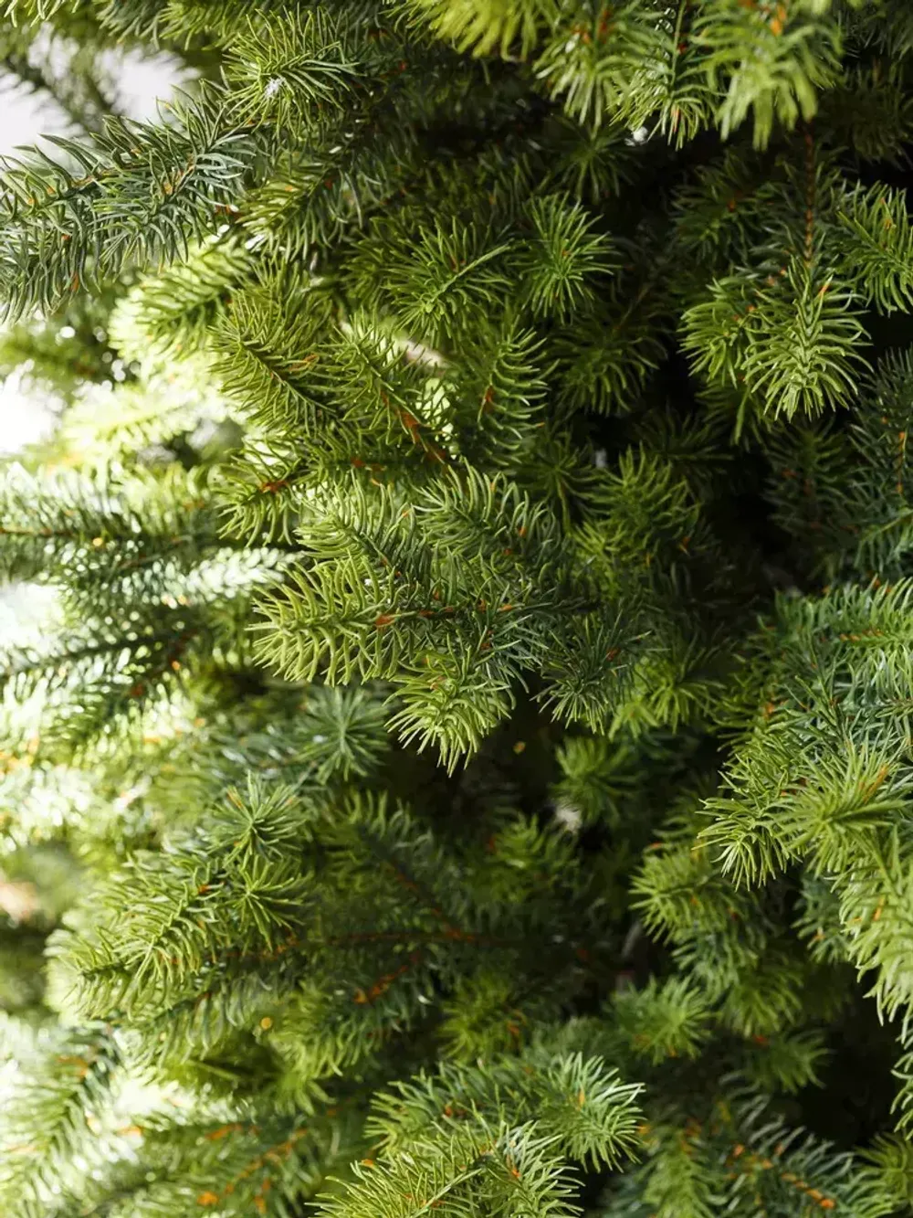 Искусственная узкая елка «Монте» (Литая хвоя) 150 см / 1,5 м