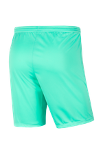 Шорты Nike Dry Park III