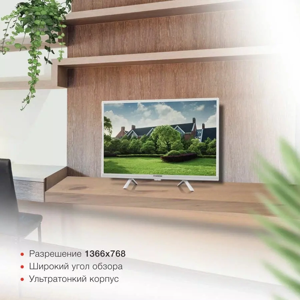 Телевизор ЖК 24" Starwind SW-LED24SG312 белый