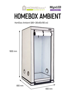 HomeBox Ambient