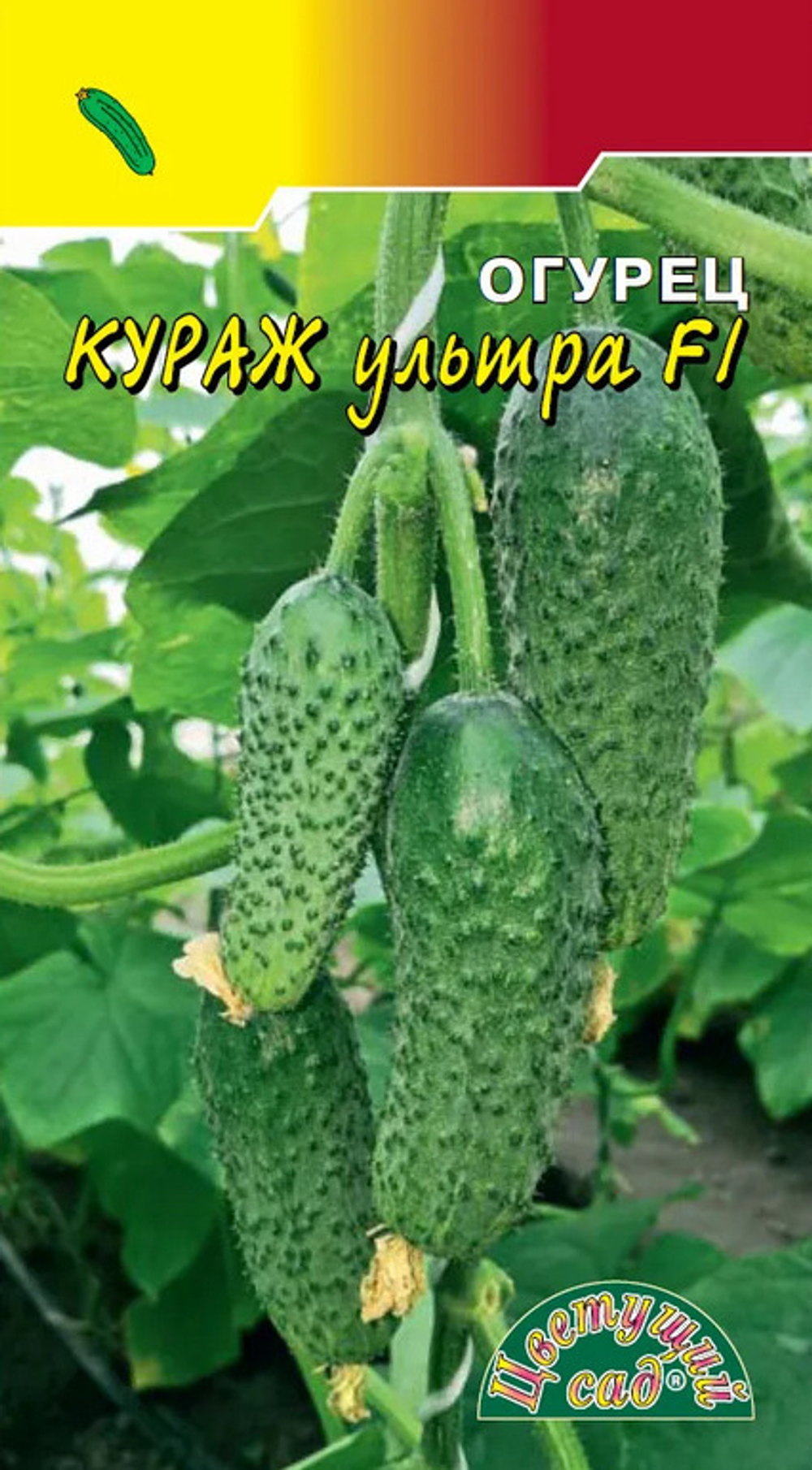 Огурец Кураж Ультра F1