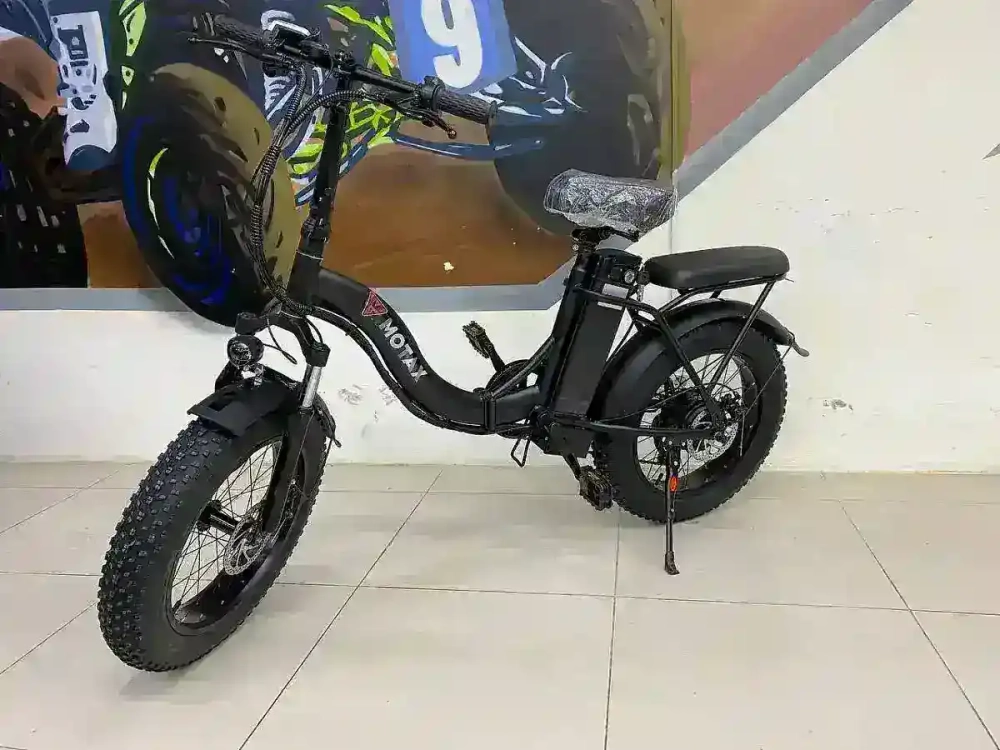 Электровелосипед MOTAX E-NOT BIG BOY 3 48V12A