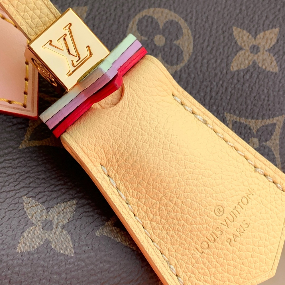 Louis Vuitton Speedy 18